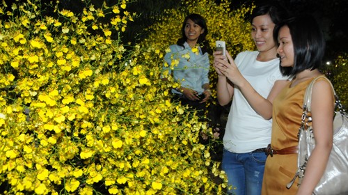 2012 spring flower festival in Ho Chi Minh City - ảnh 1